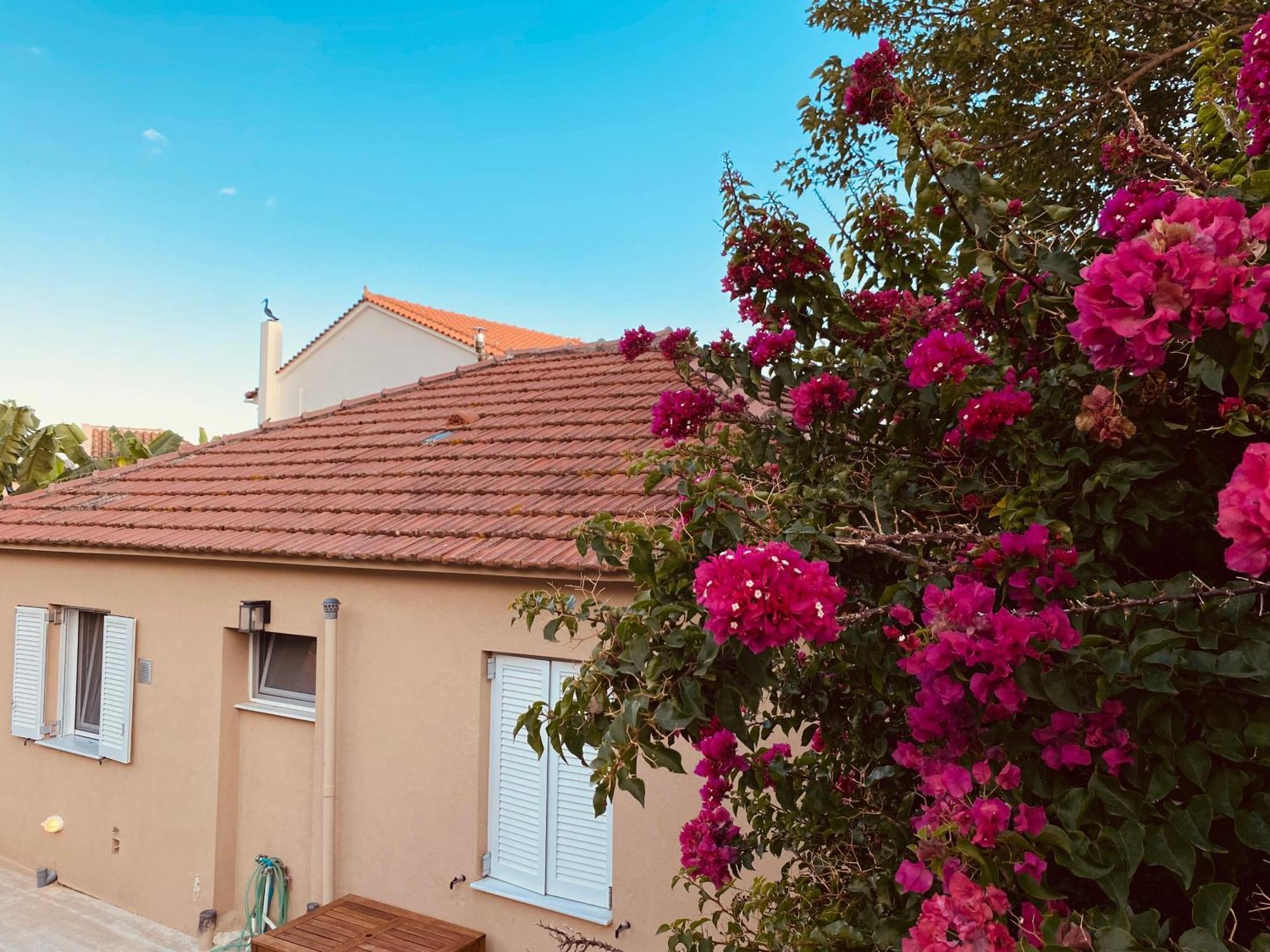 Katoικια Villa Lourdata  Eksteriør billede